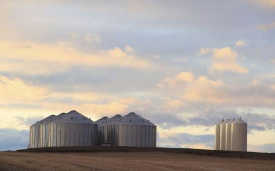 Residential neighbourhood near Strathmore, Alberta